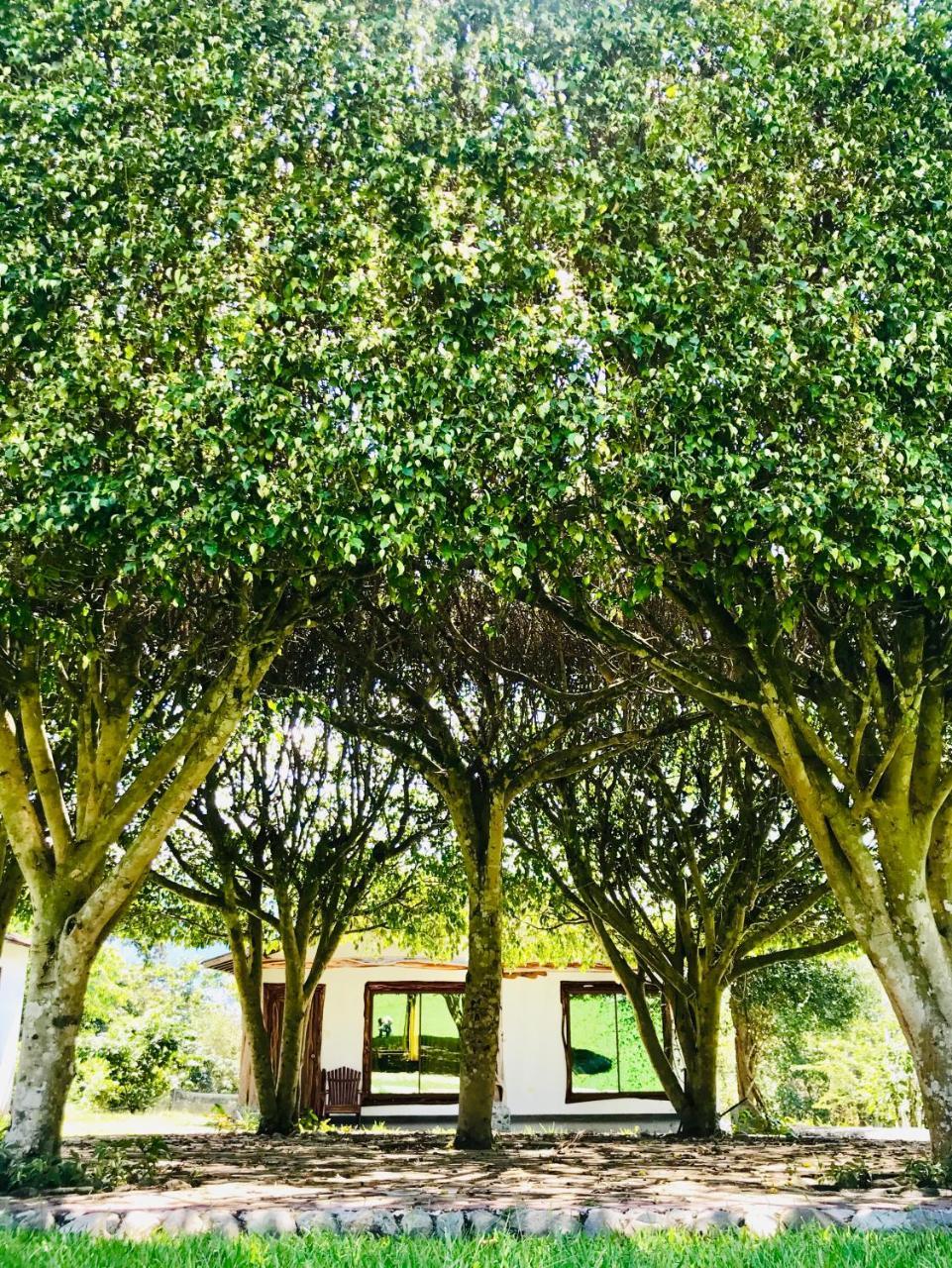 Hosteria Tierra Dorada Yantzaza Buitenkant foto