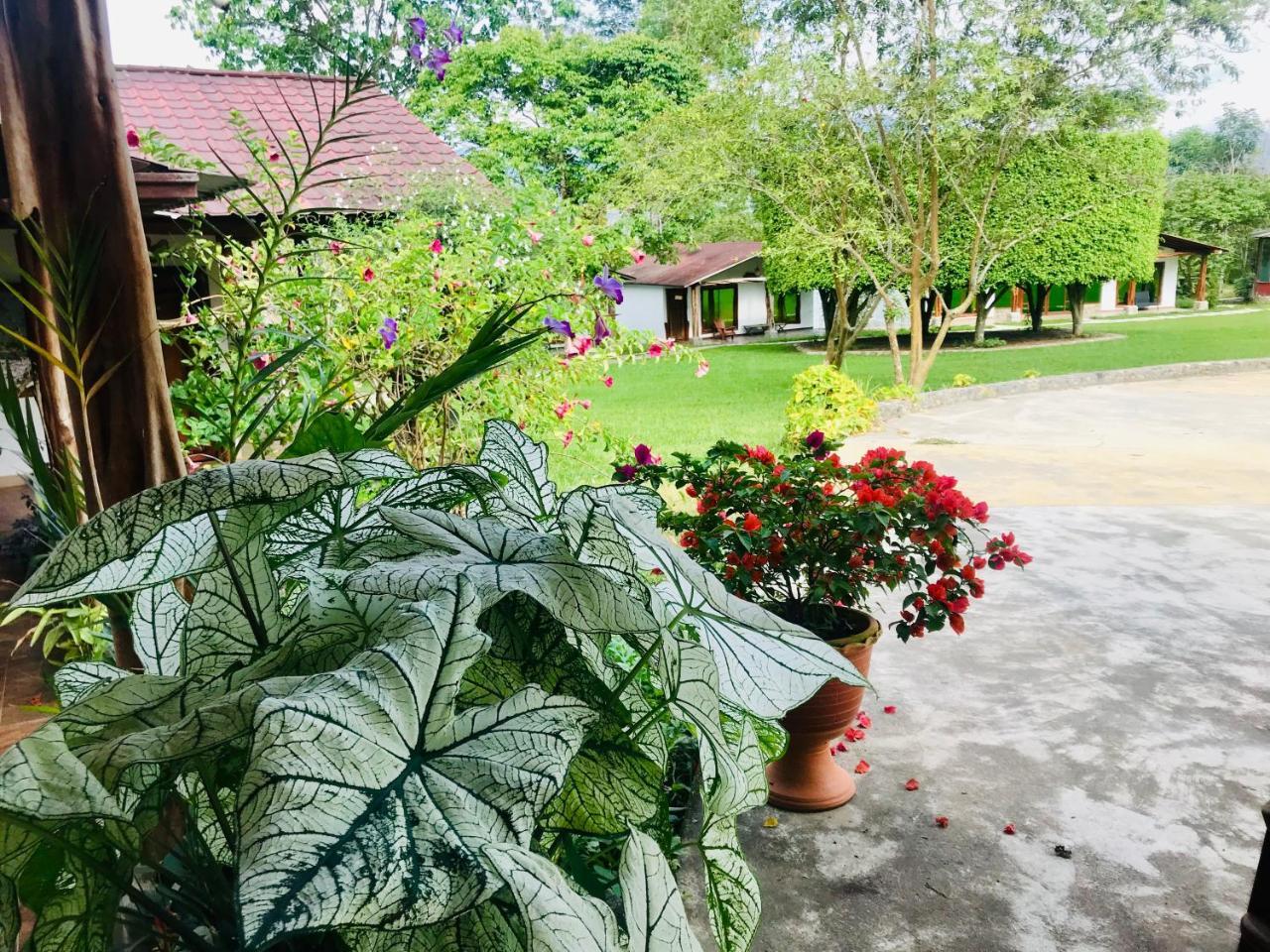 Hosteria Tierra Dorada Yantzaza Buitenkant foto